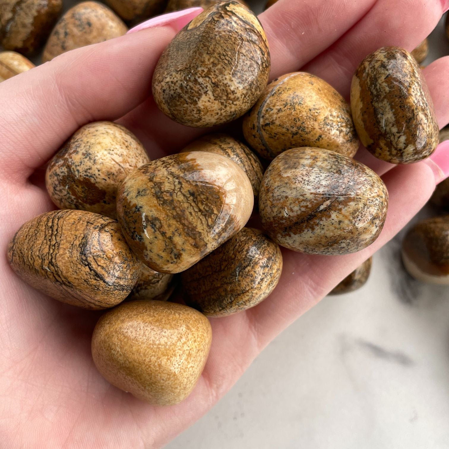 Picture Jasper Tumbled - (60 to 80) - 1KG Picture Jasper Tumbled - (60 to 80) - 1KG